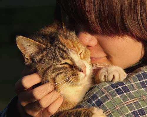 Distance Pet Clearing Services Image